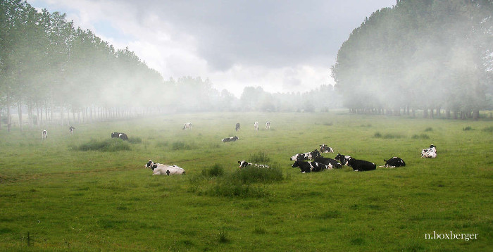Prairie de l'Aisne