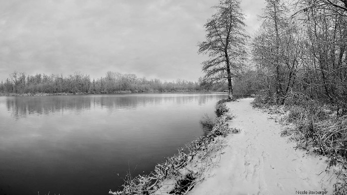 Réserve d'Isle en hiver