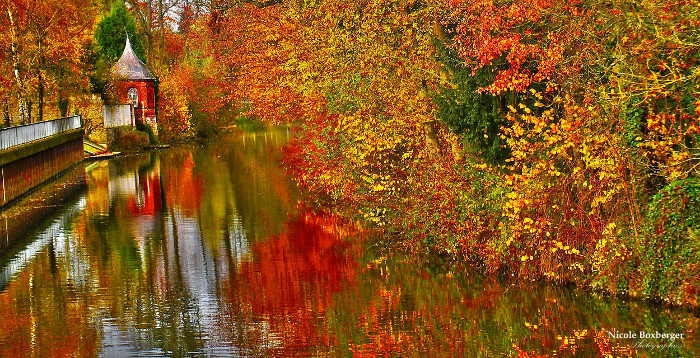 Guise en automne