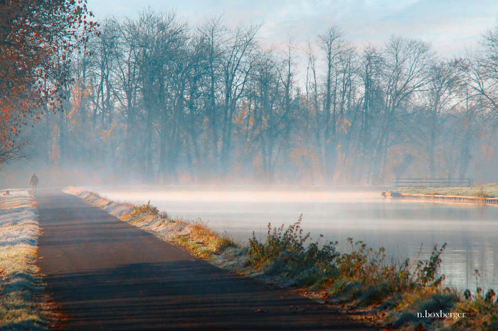 Réserve d'Isle en hiver