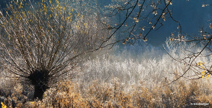 Réserve d'Isle en hiver