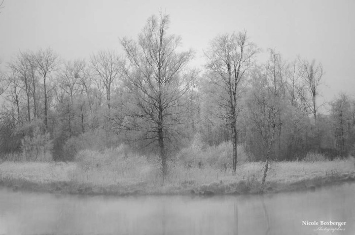 Réserve d'Isle en hiver