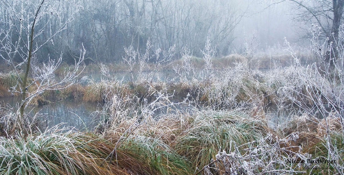 Réserve d'Isle en hiver