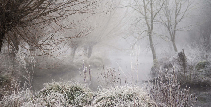 Réserve d'Isle en hiver