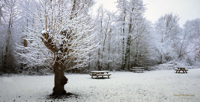 Bord du canal de St-Quentin en hiver