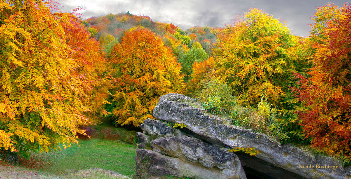 Roches de l'Ermitage - Saint-Gobins