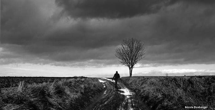 Promeneur des Hauts de France