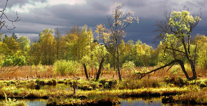 Réserve d'Isle en automne