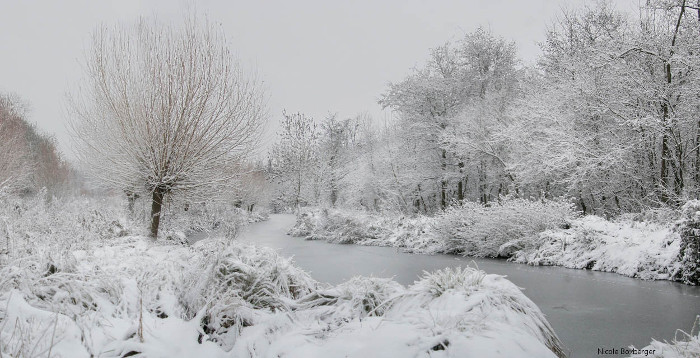 Réserve d'Isle en hiver